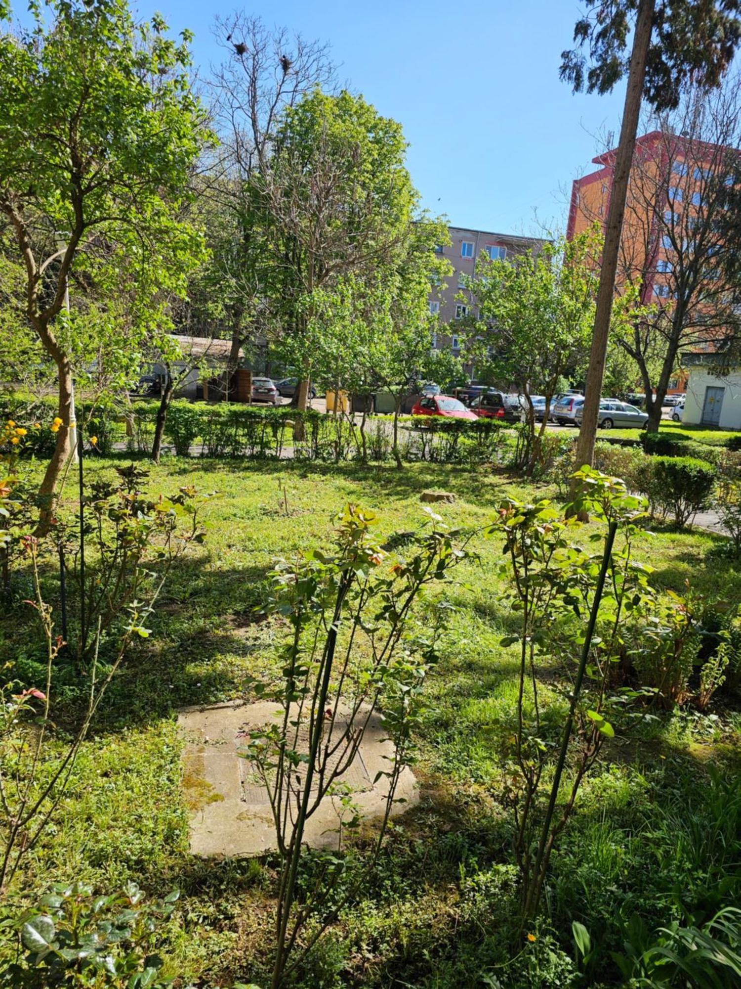 Apartament Alina Дева Екстериор снимка
